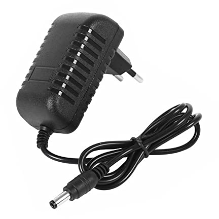 Gobesty Caricabatteria per Auto per Bambini, Uscita DC 12V 1000mA Caricabatteria da Auto elettrica per Bambini, Ricambi per Veicoli Elettrici Bambini, Caricabatterie universale