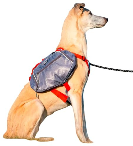 iEnergy™ MAE Hunderucksack - 2in1 Geschirr und Abnehmbarer Rucksack für Hunde - Wetterfest und inklusive Zwei Trinkflaschen mit Thermotaschen (Mittel)