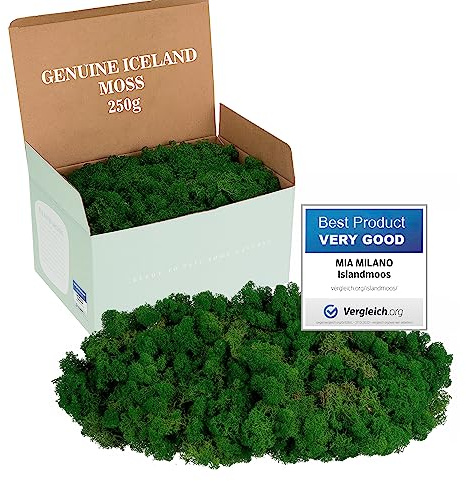 Mia Milano Islandmoos konserviert dunkelgrün | Moos Deko zum Basteln | 250g Echtes dunkelgrünes Dekomoos Isländisch für Moosbild | Mooswand lebend