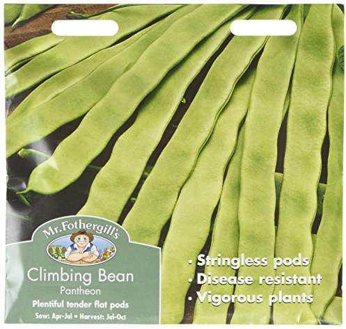 Mr Fothergill?s Seeds Ltd 24343 Mr Fothergill's Climbing French Bean Pantheon, White