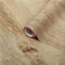 d-c-fix Pellicola Adesiva per mobili legno quercia rovere Ribbeck marrone PVC plastica vinile impermeabile decorativa per cucina, armadio, porta carta rivestimento 67,5 x 200 cm