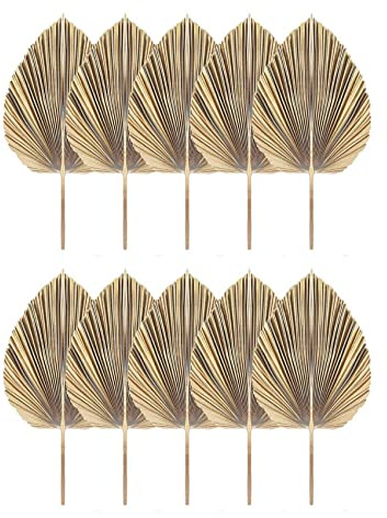Tacdas 10 Hojas de Palma Secas Naturales, Abanicos de Palma Tropical, Decoración de Hojas Secas Bohemias para El Hogar, Cocina, Boda