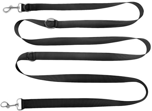 Hundeleine 2.5m Schleppleine Verstellbare Doppelleine Leichte für Kleine Mittelgroße Hunde mit 2 Karabiner für Training Outdoor Aktivitäten Schwarz