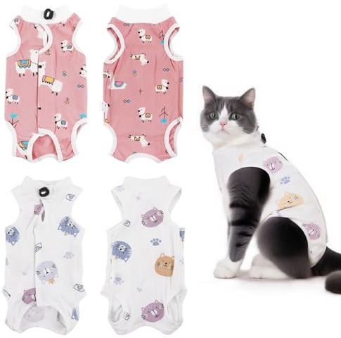 2 stycken kattbody efter Op kastrering, kattkläder, anti-läckande och ventilerande nättyg Op Body katt, katt återhämtningsdräkt, för spa magsår, spa, hudsjukdomar (M)