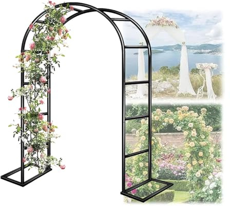 Arche de jardin en métal pour plantes grimpantes – Arche de jardin robuste noire pour roses, vignes et supports de fleurs – 2,4 x 2,2 m Décoration de jardin extérieure