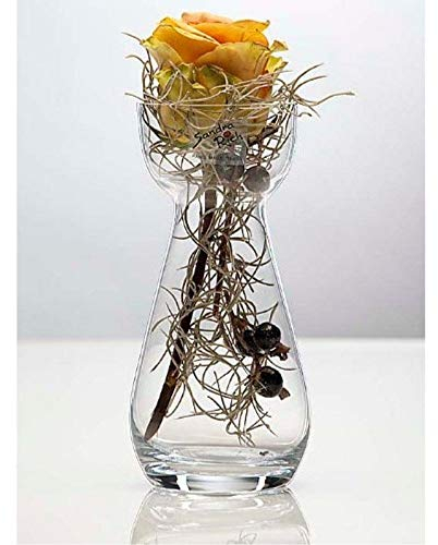 Glasvase HYACINTH Hyazinthenglas Vase Glas Blumenvase Tischvase, 17 cm