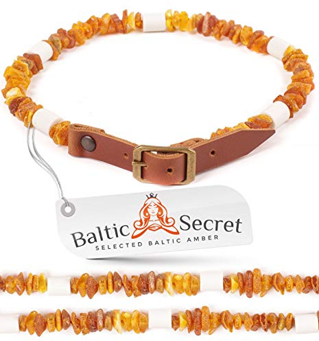 Bernsteinkette Hund mit EM Keramik Pipes - Effektive MIKROORGANISMEN - Bernsteinhalsband Hunde - Bernstein (20-25 cm)