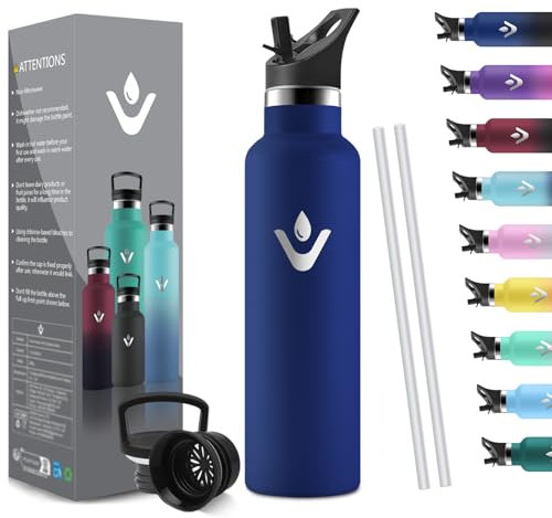 HoneyHolly Stainless Steel Drinking Bottle, 750 ml, BPA-Free, Thermos Flask, Leak-Proof Insulated Flask, Double Walled, Water Bottle, Thermal Mug with Straw, Suitable for Carbonated Drinking Bottle