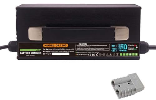 HYDTGZ Chargeur de Batterie 36 V 25 A pour Chariot Élévateur pour Batteries Plomb Acide pour Chariots Élévateurs Électriques, Transpalettes, Autolaveuses et Voiturettes de Golf,C