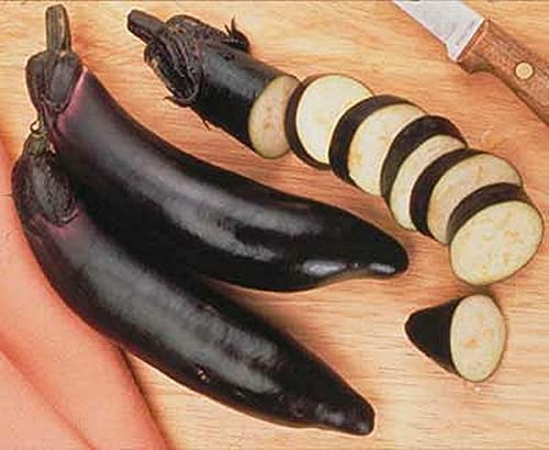 Eggplant Ichiban Vegetable Seeds