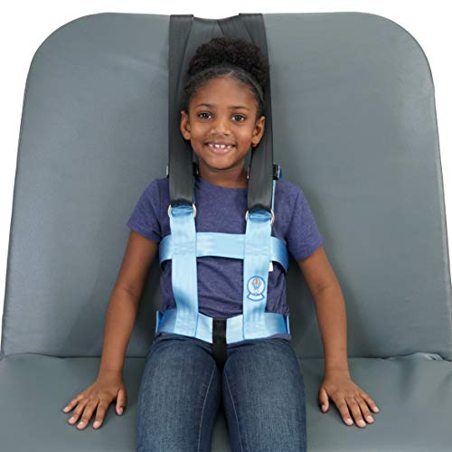 EZ-ON MAX2 Vest & Mount (Small(Chest Circumference: 25-32))