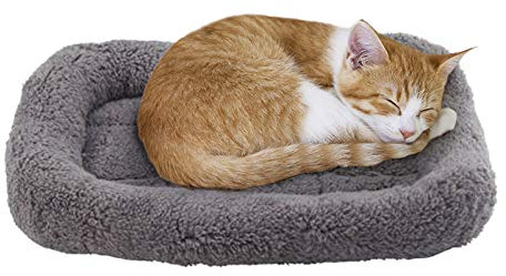 LESYPET Cat Bed for Indoor Cats, Soft Cat Cushion with Cat Pillow Around, Rectangle Kitten Pad Small Bed for Window Sill, 15'' x 10''