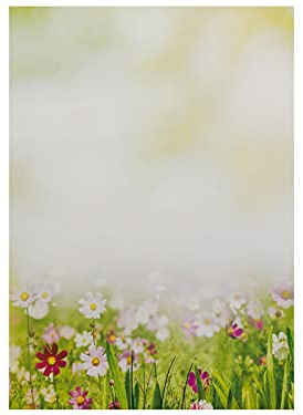 paperandpicture.de Briefpapier Sommerwiese 50 Blatt Blumen Motivpapier DIN A4 Mehrfarbig Decorativ