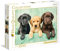 Clementoni - 39279 - Collection - Three Labs - 1000 Pieces