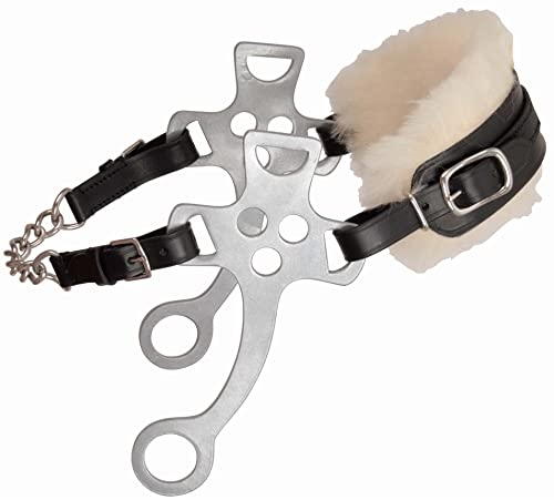 TdeT Hackamore Cavallo, Nero