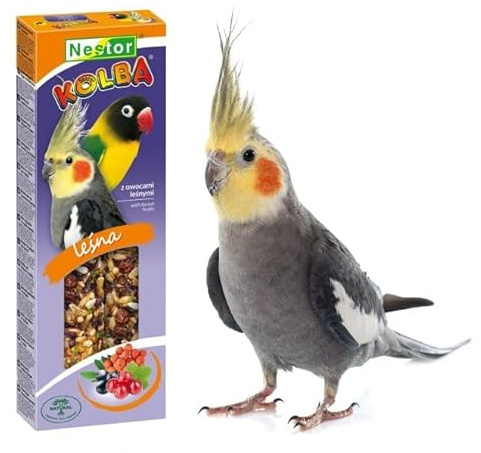 2x Large Parakeets or Parrot FOREST FRUITS Sticks Cockatoo Parrots Canaries Treats 115g Cockatiel Seed Bird Food Conures Budgie Canary Finches Snacks with Hooks
