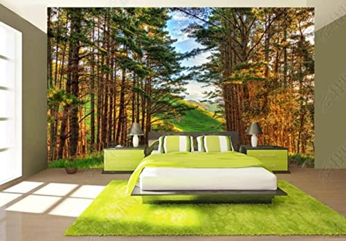 Papier Peint Panoramique Paysage De Forêt Naturelle Papier Peint Intissé 3D Murale Tableaux Muraux Tapisserie Salon Chambre