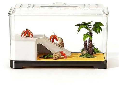Caja de alimentación para Insectos Tanque de observación Tortugas Transparente: Acuario Escritorio for alimentación y Terrarios de Reptiles(XL)