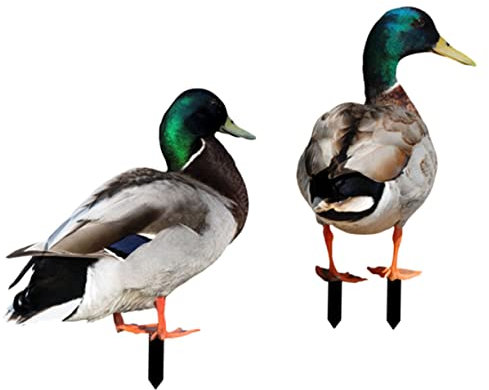 Parliky 2stücke Gartenstecker Kunst Aus Acryl Garteneinsatz Doppelseitig Steckerschild Für Gartendekoration Lebensecht Hofdekoration Wetterfest Als Skulptur Für Blumentöpfe Und Parks
