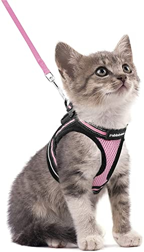 rabbitgoo Katzengeschirr Katzenleine Set Katzengeschirr mit Leine Geschirr Katzen ausbruchsicher verstellbar weich mit reflektierenden Streifen für Katzen Kitten Welpen Cat Harness Leash Rosa S