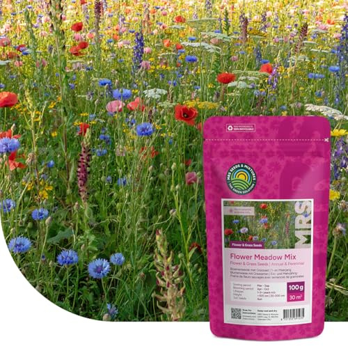 MRS Prairie de fleurs sauvages avec graminées - 100 g pour 30 m² - Graines annuelles et vivaces - 60% d’herbes et 40% de fleurs - Attire abeilles, papillons et autres pollinisateurs