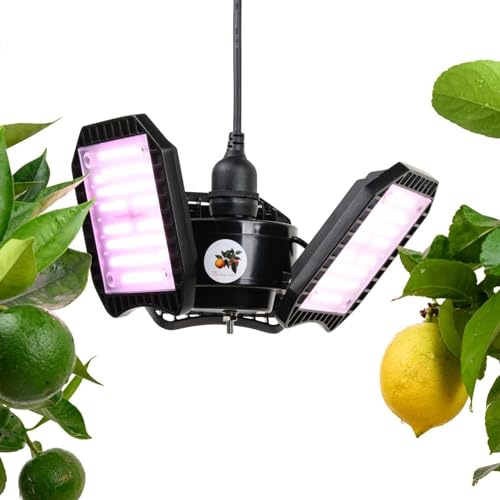 Meine Orangerie - Lampe LED FLEX [100W] - LED pour plantes à spectre complet - Hivernage des plantes méditerranéennes