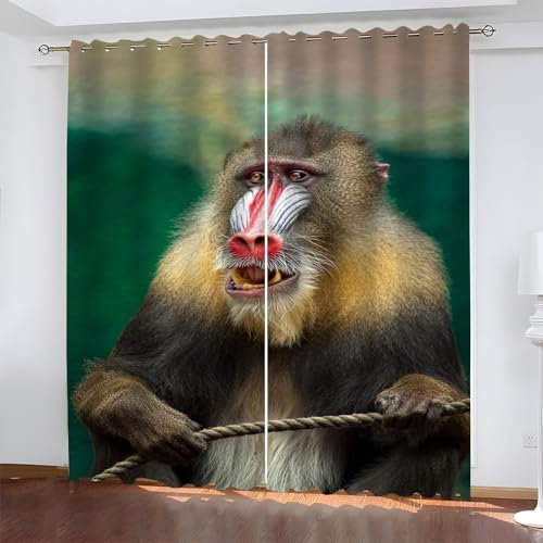 YZQGLHP Gardinen Mandrill-AFFE Vorhänge Tier Verdunklungsvorhänge Schiebe Schallschutz Vorhang mit Ösen für Schlafzimmer Wohnzimmer H245 x B140 cm 2 teiliges Set