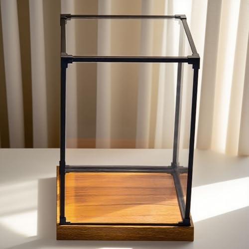 WhamtL Acryl Vitrine Rechteckige, Durchsichtige Kunststoffvitrine 15 20 30 35 40 45 50 cm, Schmale, Große Transparente Acrylvitrine mit Holzboden, Alternativ Glasvitrine(35x35x50cm(14x14x20in))