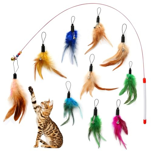 10 Stück Katzenspielzeug Feder, Interaktive Katzen Spielzeug mit Federn, Feder Katzenangel Anhänger mit Glocken, Spielzeug für Katzen, Bunte Ersatzfedern Zubehör für Bewegung und interaktives Spiel