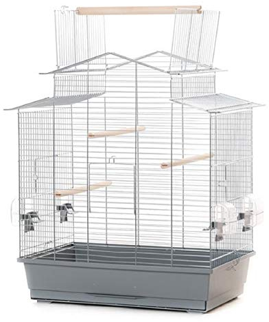 Ollesch XXL Vogelkäfig Wellensittich Kanarien mit Freisitz 58,5 x 38 x 65cm