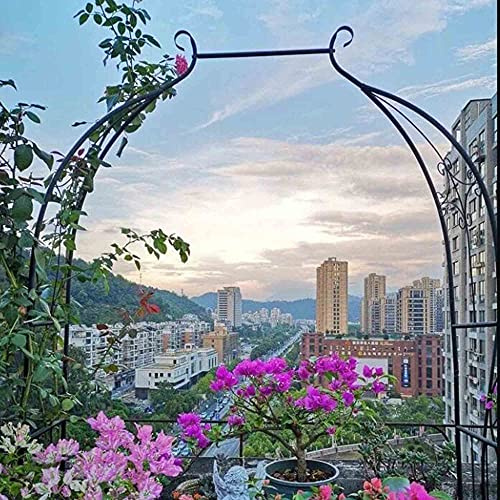 Arche de jardin en fer forgé pour plantes grimpantes, support de fleurs d'extérieur et cadre d'escalade, parfait pour les mariages et les terrasses d'arrière-cour, 120 × 30 × 205 cm