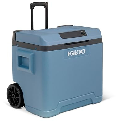 Igloo IE - Tragbare Thermoelektrische Kühlbox - 12V/230V - 20 °C unter Umgebungstemperatur - Mini Kühlschrank für Camping, Auto