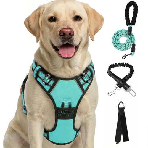 FURRYFECTION Harnais Anti-Traction Réfléchissant Turquoise Clair Taille M | Tissu Oxford résistant, poignée rembourrée, 4 sangles réglables, 2 clips de laisse, sans étranglement pour chiens