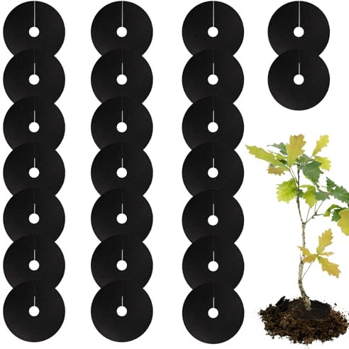 25Pcs Cabbage Collars, Round Plant Mulch Ring Deters Slug Nematodes, Root Flies, Snails, Weeds, Flower Beds Soil Moisture Retention (15CM)