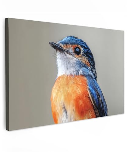 MuchoWow© Wandbilder Groß XXL Wohnzimmer Wanddeko Schlafzimmer Zimmerdeko | 120x80 cm - Wandgemälde Zimmer Deko auf Wand Dekoration Wall Art Bunt - Vogel - Federn - Blau