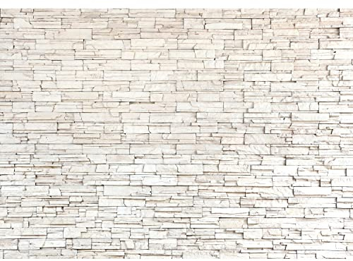 Runa Art Fototapete Steinwand 3D Effekt Modern Vlies Wohnzimmer Schlafzimmer - Made in Germany - 308 x 220 cm Weiss 9019010c