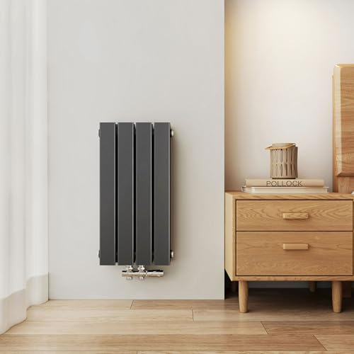 EMKE Design Heizkörper Klein, 600x304 mm Vertikal Flachheizkörper mit Mittelanschluss, Doppellagig Anthrazit Paneelheizkörper Wandheizkörper für Bad, Flur& Wohnzimmer, 384W