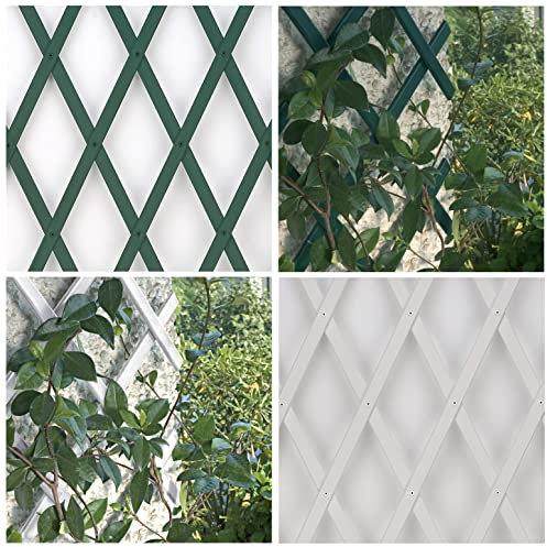 eacommerce Traliccio Grigliato Reticolato Estensibile in PVC per Piante rampicanti Balcone, Giardino, terrazza (2X1 MT, Bianco)