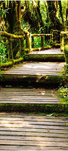 wandmotiv24 Türtapete Treppe im Urwald 100 x 200cm (B x H) - Selbstklebende Strukturtapete Sticker für Türen, Türfolie, Aufkleber, M0486