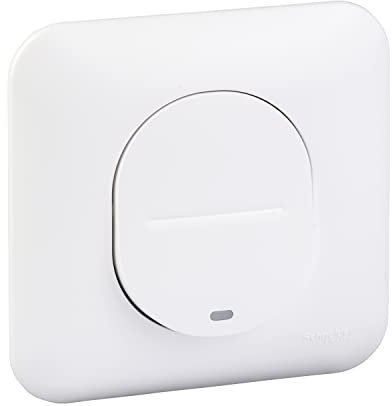 Schneider Electric S260263 Interrupteur ou va et vient lumineux 10 ampères Ovalis complet 250 V