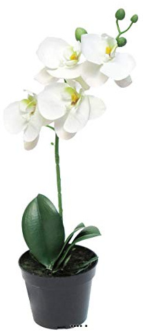 Artificielles.com – Orquídea Phalaenopsis artificial en maceta de calidad decoradora H 35 cm crema – Best – Dimhaut: 35 cm – Color: crema