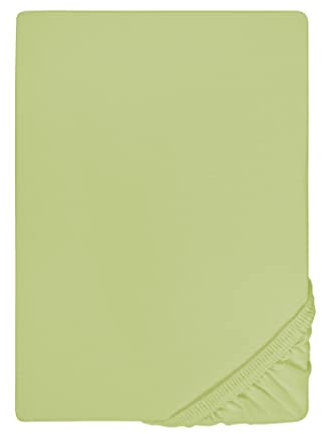biberna Jersey-Elastic-Spannbetttuch 0077866 (Matratzenhöhe max. 25 cm) 1x 140x200 cm - 160x220 cm, pistaziengrün