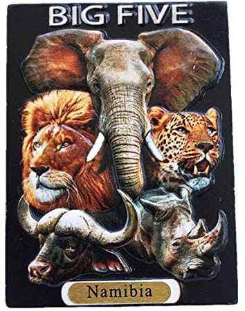 3D-Kühlschrankmagnet, Motiv: wilde Tiere von Namibia, Afrika, Reise-Souvenir, Geschenk, Zuhause, Küche, Kühlschrank, Dekoration, Magnetaufkleber, Bastel-Kollektion