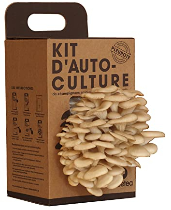 Resetea 1 Kit di Auto-Coltivazione di Funghi ostriche, Cartone