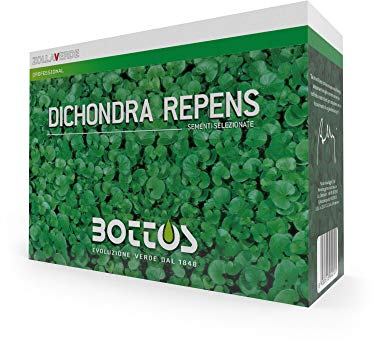 Semi per Prato Bottos Dicondra Kg 0.5