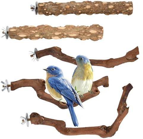 5 Stück Naturholz Vogel Sitzstangen, Natur Sitzstangen Set Für Vögel, Sitzstangen für Vogelkäfige, Vogel aus Naturholz, T-Form Natürlicher Sitzstangen für Vögel Holz, für Nymphensittich Kanarienvogel