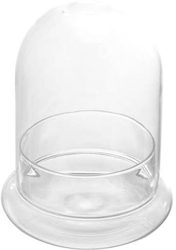 BIUDECO Terrarium en Verre Écologique avec Cloche à Petit Trou Grand Format pour Micro-Paysage et Décoration Intérieure Bouteille Écologique avec Mousse et Plantes DIY Terrarium