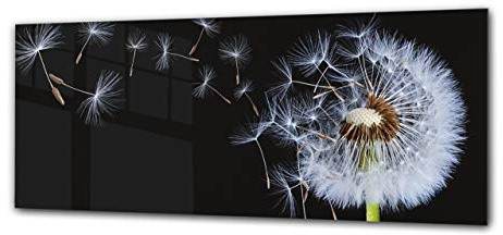 Cuadro de cristal - Imagen sobre vidrio 125 x 50 cm – Diente de león 5