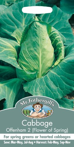 Mr Fothergill's 23380 Vegetable Seeds, Cabbage Offenham 2 (Flower of Spring), Green