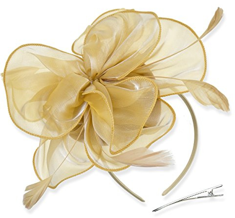 DRESHOW Damen Fascinators Hut Cocktail Party Tee Kopfbedeckung Blume Mesh Organza Bänder Federn auf Einem Stirnband